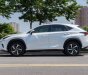 Lexus NX 300 2017 - Xe màu trắng