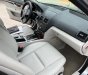 Mercedes-Benz C 250 2010 - Màu xám, xe nhập đẹp như mới giá ưu đãi