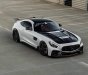 Mercedes-Benz AMG GT 2016 - Xe hai màu