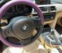 BMW 320i 2013 - Màu trắng, nhập khẩu