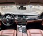 BMW 520i 2017 - Bank hỗ trợ 75%