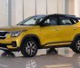 Kia Seltos 2022 - Hỗ trợ trả góp 80%, chỉ 260 triệu nhận xe + chương tình ưu đãi tháng 8