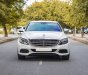 Mercedes-Benz C 250 2015 - Giá cực tốt