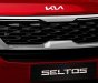 Kia Seltos 2022 - giá xe Kia Seltos Bình Định, Quy Nhơn