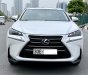 Lexus NX 200T 2015 - Màu trắng, nội thất nâu da bò trẻ trung