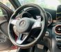 Mercedes-Benz GLC 300 2016 - Bao check test kiểm tra