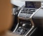 Lexus NX 300 2021 - Chạy cực ít biển tỉnh