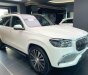 Mercedes-Maybach GLS 480 2022 - Màu trắng/Nội thất đen