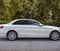 Mercedes-Benz C 250 2015 - Giá cực tốt