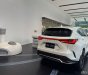 Lexus NX 350 2022 - Bảo dưỡng/bảo hành miễn phí trong 3 năm - Chính hãng showroom, xe giao ngay