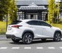 Lexus NX 300 2021 - Chạy cực ít biển tỉnh