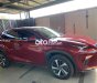 Lexus NX 300 2019 - Xe màu đỏ, xe nhập