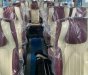Thaco Iveco Daily 2022 - Giá xe khách 16 chỗ, chuyên phục vụ trung chuyển và hoạt động du lịch