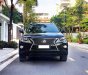 Lexus RX 450 2013 - Xe màu đen