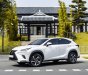 Lexus NX 300 2021 - Chạy cực ít biển tỉnh