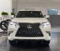 Lexus GX 460 2022 - SUV hạng sang Lexus - Bảo hành xe 3 năm, bảo dưỡng miễn phí trong 3 năm