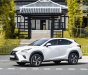 Lexus NX 300 2021 - Chạy cực ít biển tỉnh