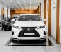 Lexus RX 350 2019 - Xe màu trắng, nhập khẩu