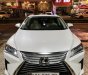 Lexus RX 200 2016 - Xe gia đình rất ít chạy