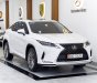 Lexus RX 350 2019 - Xe màu trắng, nhập khẩu