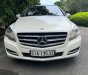 Mercedes-Benz R 300 2010 - Xe màu trắng, số tự động, 7 chỗ