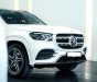 Mercedes-Benz GLS 450 2022 - Bán xe mới 100%, màu trắng giao ngay toàn quốc, giá tốt