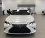 Lexus ES 300 2022 - Sẵn xe giao ngay, bảo hành, bảo dưỡng xe miễn phí trong 3 năm