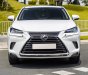 Lexus NX 300 2021 - Chạy cực ít biển tỉnh