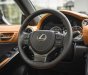 Lexus IS 300 2022 - sẵn xe giao ngay trong tháng 9/2022