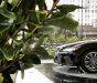 Lexus LS 500 0 2022 - Sedan hạng sang hàng đầu Lexus - Xe sẵn giao ngay