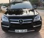 Mercedes-Benz GL 450 2010 - Màu đen, xe nhập, giá cực tốt