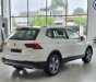 Volkswagen Tiguan 2021 - Hỗ trợ trả góp 0% lãi suất lên đến 3 năm