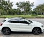 Mercedes-Benz GLA 250 2015 - Mercedes-Benz GLA 250 2015 tại 2