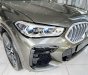 BMW X6 2022 - Giá cực tốt, nhận đặt xe toàn quốc, hỗ trợ giấy tờ từ a-z