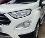 Ford EcoSport 2019 - Xe đúng chất gia đình, còn bảo hành chính hãng Ford