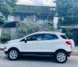 Ford EcoSport 2016 - Xe màu trắng 