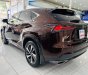 Lexus NX 300 2019 - Miễn phí 100% thuế trước bạ - Tặng ngay 1 miếng vàng thần tài khi mua xe trong tháng