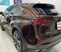 Lexus NX 300 2019 - Sang trọng - Đẳng cấp