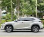 Lexus NX 300 2020 - Biển HN, tên cá nhân