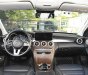 Mercedes-Benz C 250 2020 - Đen óng ả