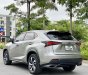 Lexus NX 300 2020 - Biển HN, tên cá nhân