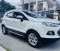 Ford EcoSport 2016 - Xe màu trắng 