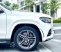 Mercedes-Benz GLS 450 2021 - Xe đẹp siêu lướt tiết kiệm hơn 1 tỷ đồng