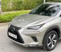 Lexus NX 300 2020 - Biển HN, tên cá nhân