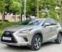 Lexus NX 300 2020 - Biển HN, tên cá nhân