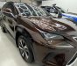 Lexus NX 300 2019 - Sang trọng - Đẳng cấp