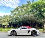 Porsche 718 2016 - Đầy đủ đồ chơi - mui trần " xếp vải