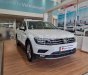 Volkswagen Tiguan 2022 - Tiguan Elegance trắng duy nhất giao ngay giảm 100tr trước bạ