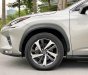 Lexus NX 300 2020 - Biển HN, tên cá nhân