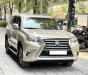 Lexus GX 460 2009 - Hốt ngay xe form 2015 chỉ với giá 1 tỷ 650 triệu